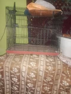 cage for parrot 0