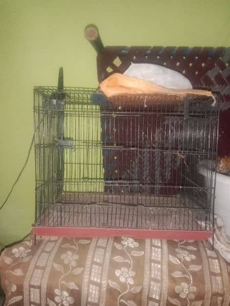 cage for parrot 4