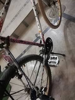 phoenix cycle for sale fully modified