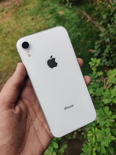 Iphone Xr white battery health 77% non PTA 0