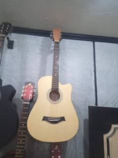 New Guitar 0336 3153055 0
