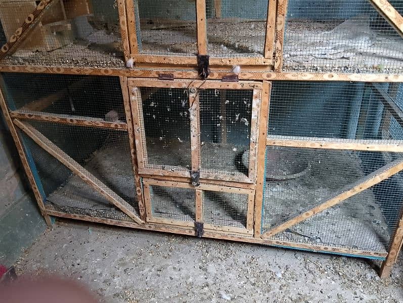 2 cage 3.5  feet 2 feet parrot hens cage 1
