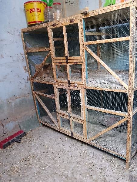 2 cage 3.5  feet 2 feet parrot hens cage 3