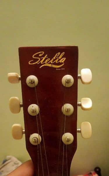 Stella acoustic guitar 2