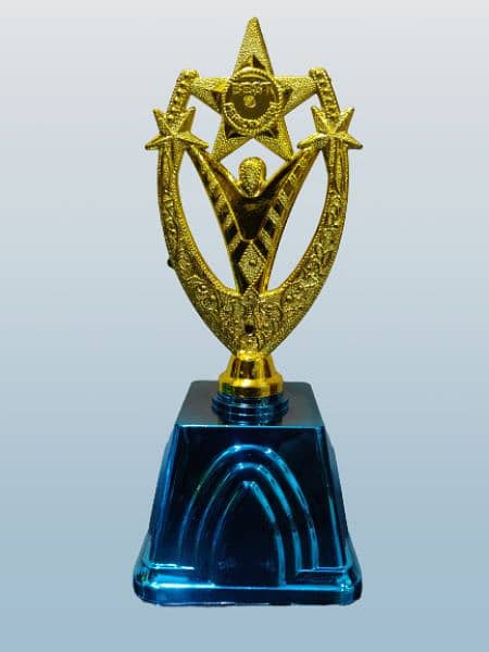 best plastic and metal trophy for cricket, football, and school awards 6