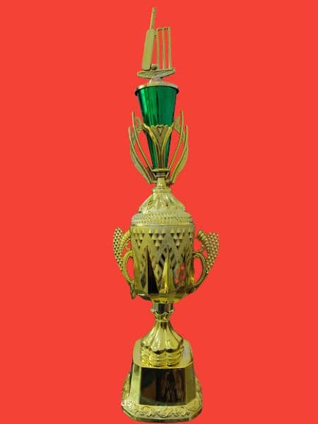 best plastic and metal trophy for cricket, football, and school awards 8