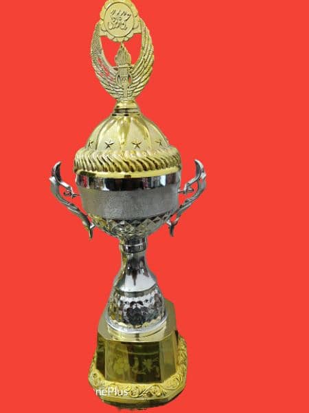 best plastic and metal trophy for cricket, football, and school awards 9
