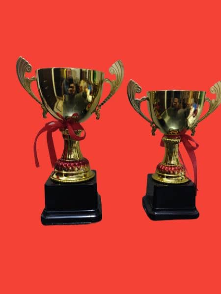 best plastic and metal trophy for cricket, football, and school awards 10