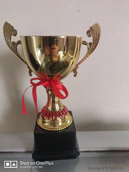 best plastic and metal trophy for cricket, football, and school awards 11
