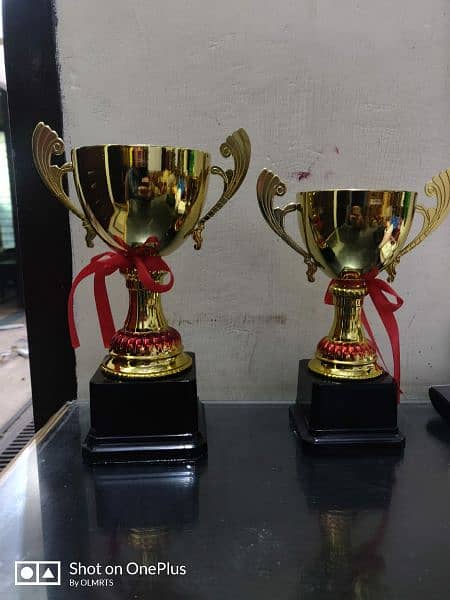 best plastic and metal trophy for cricket, football, and school awards 12