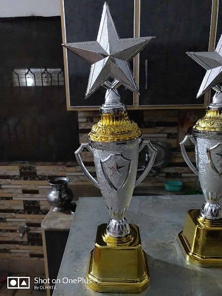 best plastic and metal trophy for cricket, football, and school awards 13