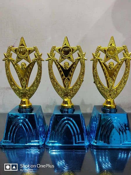 best plastic and metal trophy for cricket, football, and school awards 16