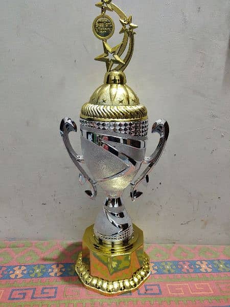 best plastic and metal trophy for cricket, football, and school awards 17
