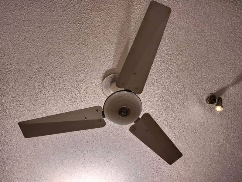 GFC ceiling fan 2