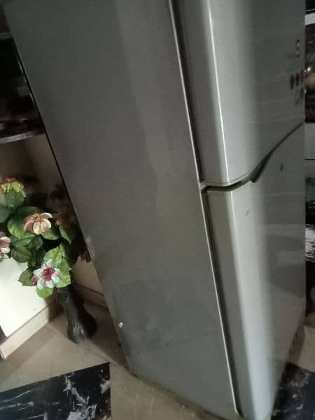 Pel refrigerator (urgent sell) 1