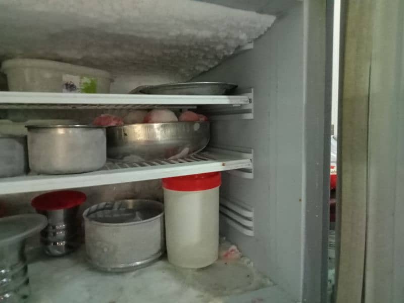 Pel refrigerator (urgent sell) 2