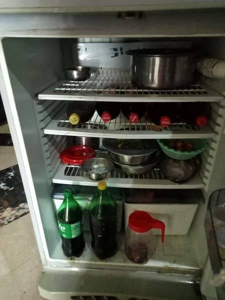 Pel refrigerator (urgent sell) 3
