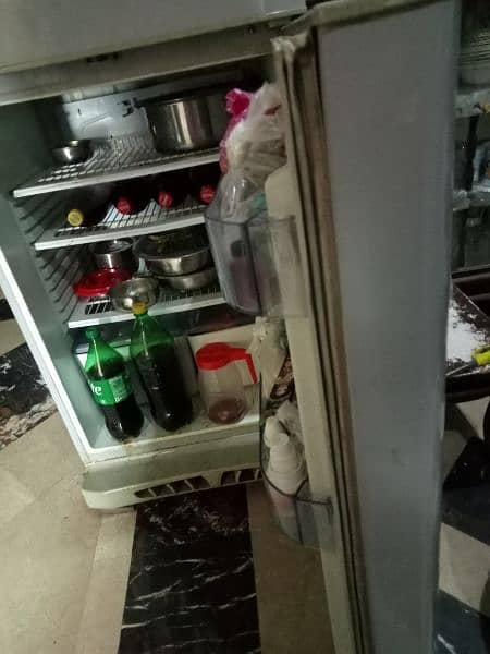 Pel refrigerator (urgent sell) 4