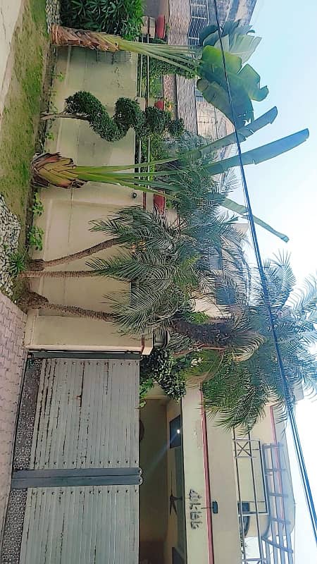 1 KANAL FULL FURNISHED HOUSE AVAILABLE FOR SALE IN NESPAK SOCIETY PHASE 1 4