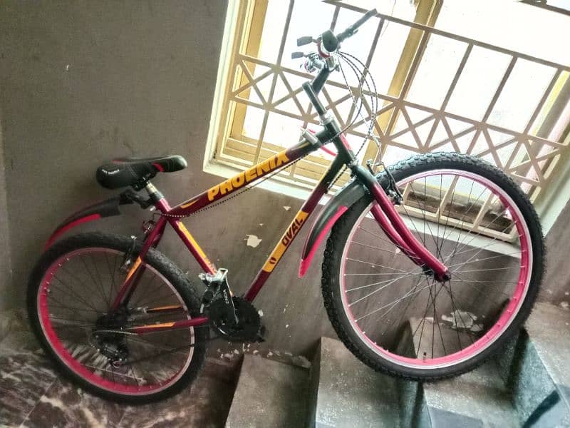 phoenix brand new cycle for sale urgent 2