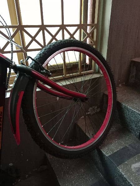 phoenix brand new cycle for sale urgent 4