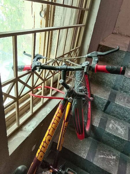 phoenix brand new cycle for sale urgent 5