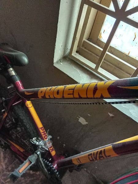 phoenix brand new cycle for sale urgent 6