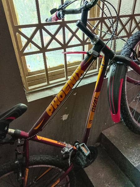phoenix brand new cycle for sale urgent 7