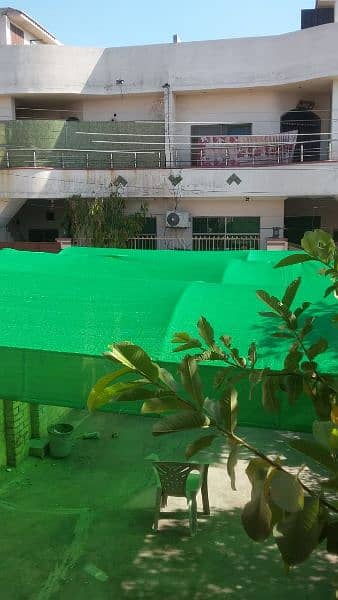 green net 1