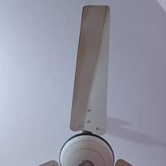 Yunas celing fans for sale.