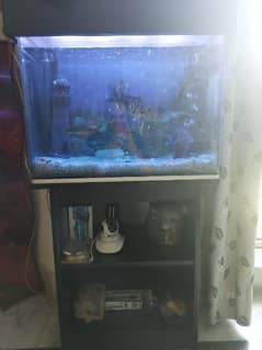 Fish Aquarium/ Complete accessories for Sale