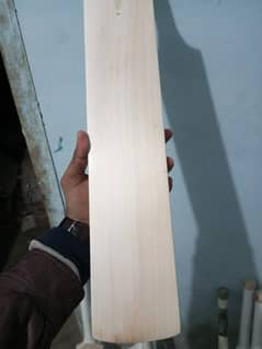 Cricket Bat, English Willow Bat, Hard Ball Bat, Cricket, Hardball 0