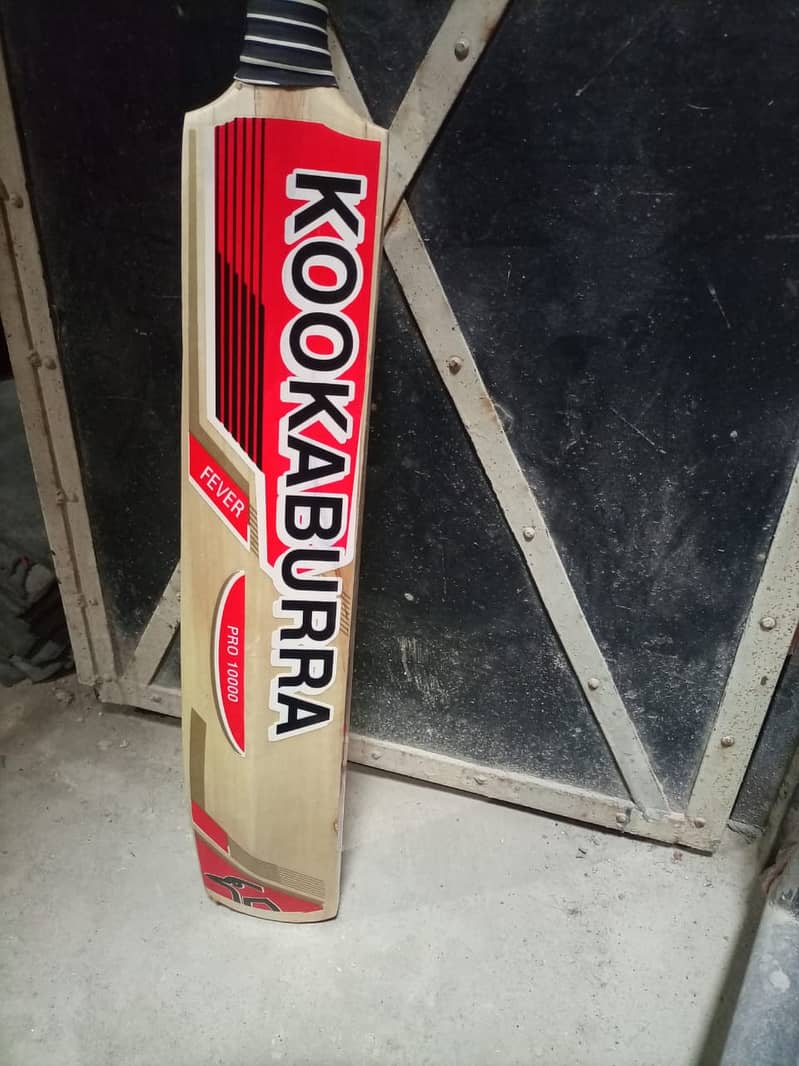 Hard Ball Bat, Kashmiri Willow Bats, Cricket, Hardball bat at low rate 7