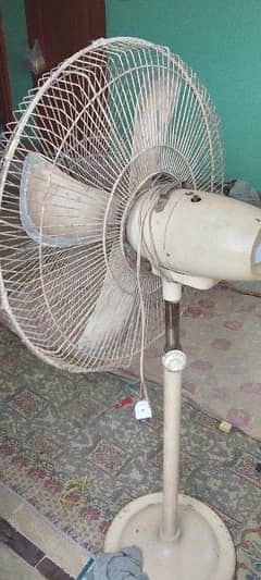 padister fan