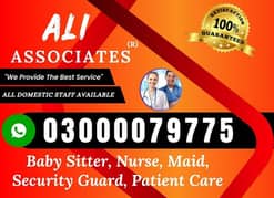 provide,cook,maids,couple,driver,pattient