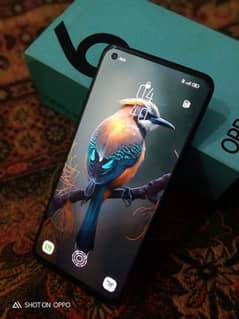 OPPO Reno 6 /daba aur charger Sath hy serious buyers urgent sale