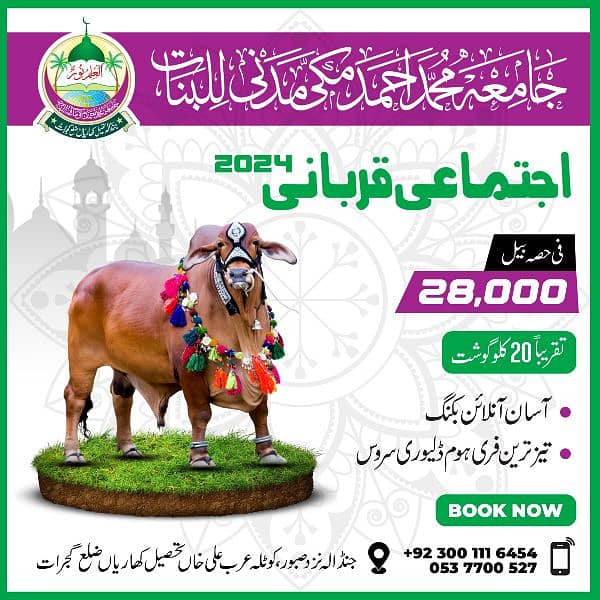 Camel | Qurbani Shares | اونٹ قربانی 2