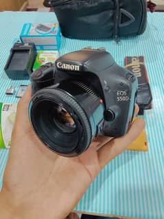 canon 550d Dslr Camera
50mm Lens High blur result