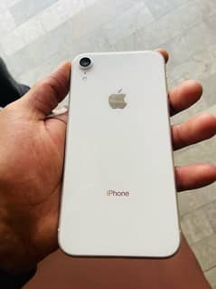 iPhone Xr all ok 10 by 10