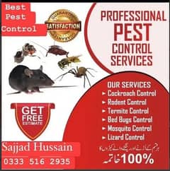 Termite Control/pest Spray/Deemak Control/Dengue spray/Beds bug