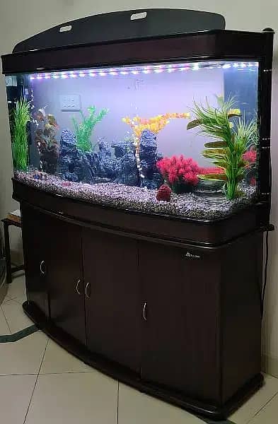 Imported Aquarium (Without Fishes)| Aquarium | For Sale | Fish Tank 1