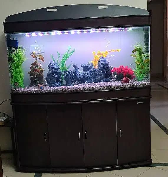 Imported Aquarium (Without Fishes)| Aquarium | For Sale | Fish Tank 3