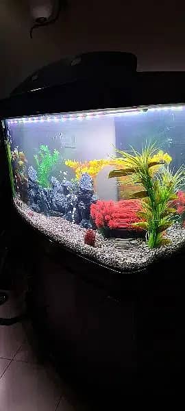 Imported Aquarium (Without Fishes)| Aquarium | For Sale | Fish Tank 4
