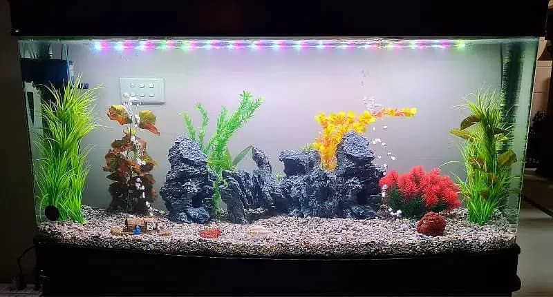 Imported Aquarium (Without Fishes)| Aquarium | For Sale | Fish Tank 5