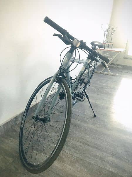 imported Bicycle 1