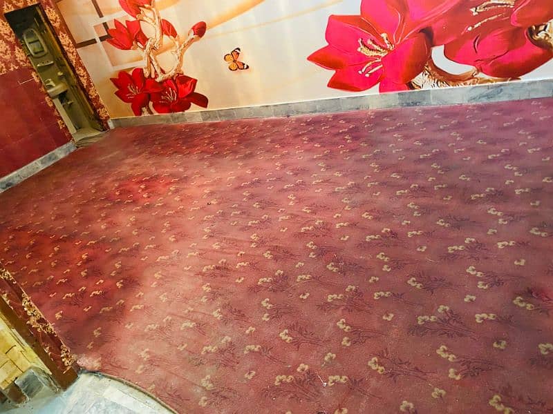 carpet 12/22 good condition 1