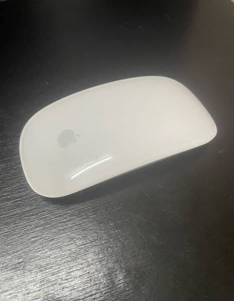 apple magic mouse 1 0