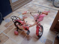 mini cycle