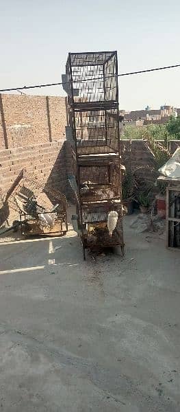 4 khano wala cage ha or condition Good ha 4