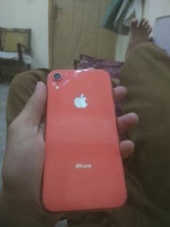 i phone xr new condition 10/10 64 gb watar pack non pta 0